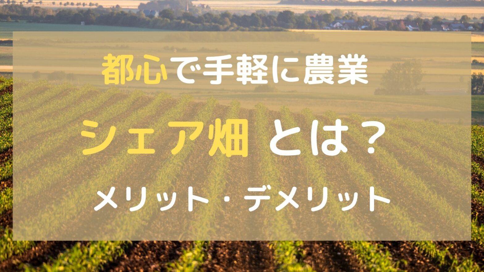 シェア畑