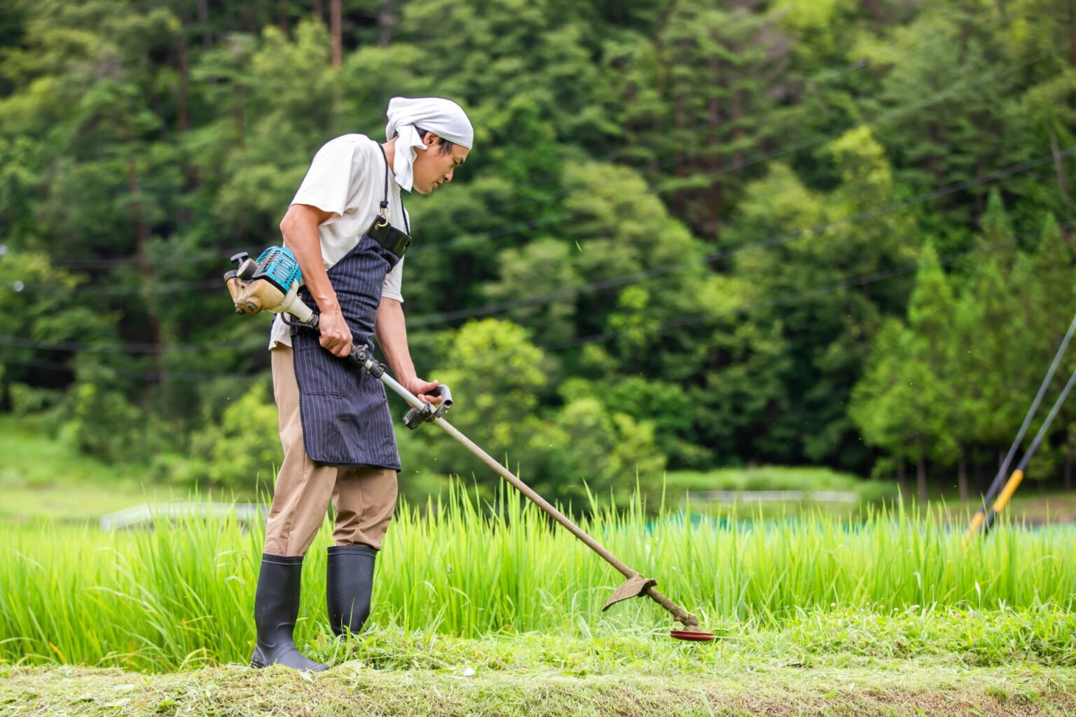 【オススメ】草刈り道具|楽で効率的に草刈りができるアイテム一覧 | UMM 農業とつながる情報メディア