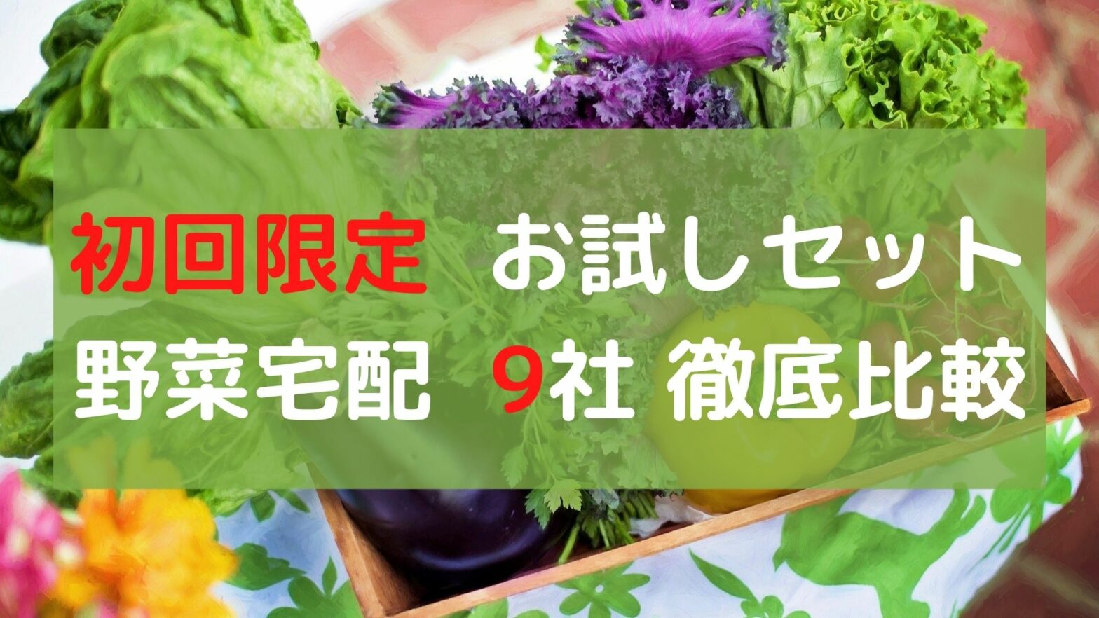 野菜宅配お試しセット9社比較