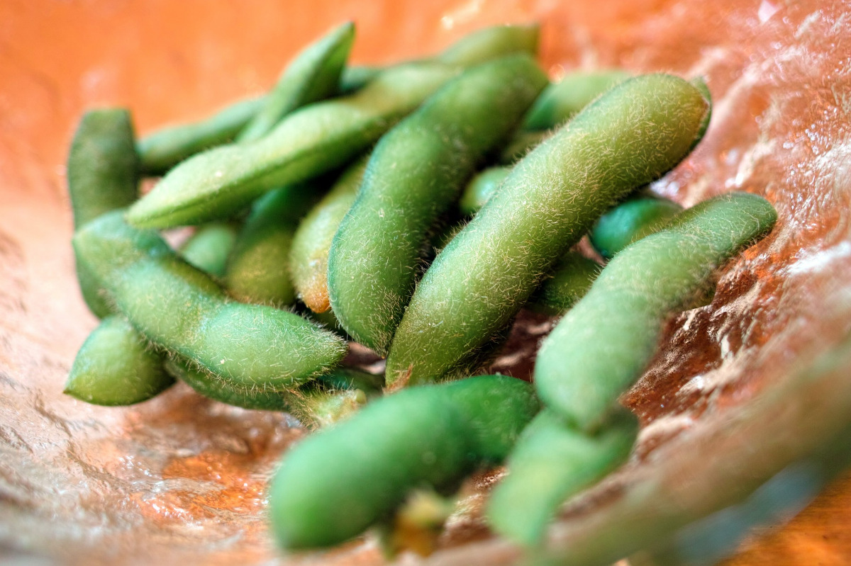 枝豆の育て方 栽培方法 初心者はプランターがおすすめ コツや注意点も紹介 Umm 農業とつながる情報メディア