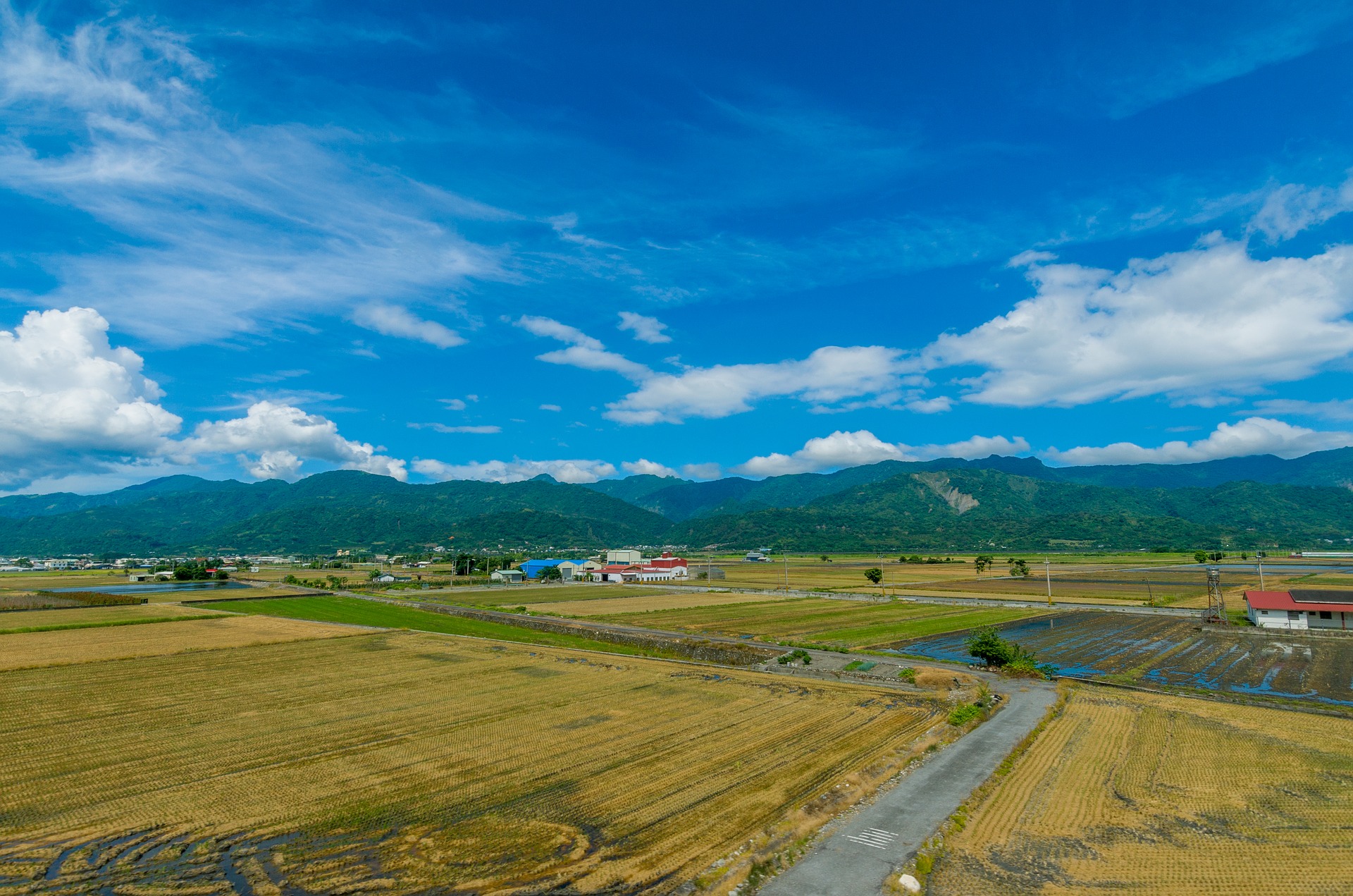 稲刈りの時期はいつ？都道府県や品種ごとのタイミングや、お米の収穫時期を解説！ | UMM 農業とつながる情報メディア