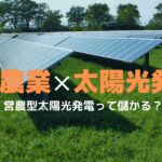 営農型太陽光発電とは│農業×太陽光発電で収益アップできるのか