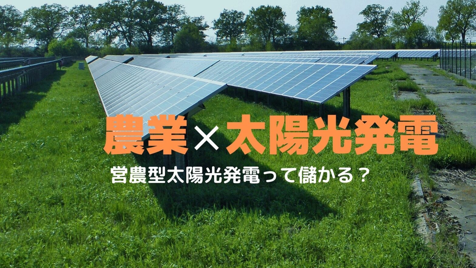 農業×太陽光発電