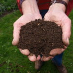 腐葉土の作り方・使い方｜ビニール袋で簡単！ほぼ無料・短期間の自作方法を徹底解説
