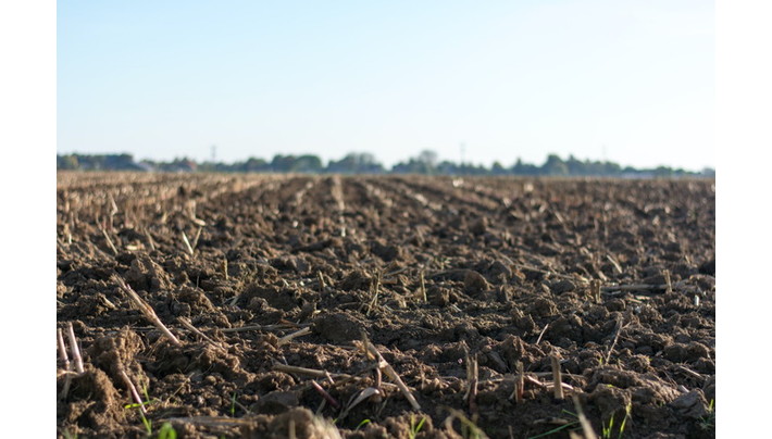 鹿沼土の使い方とは 特徴や赤玉土との違いを知って使い分ける Umm 農業とつながる情報メディア