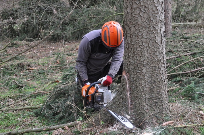 木を切る男性