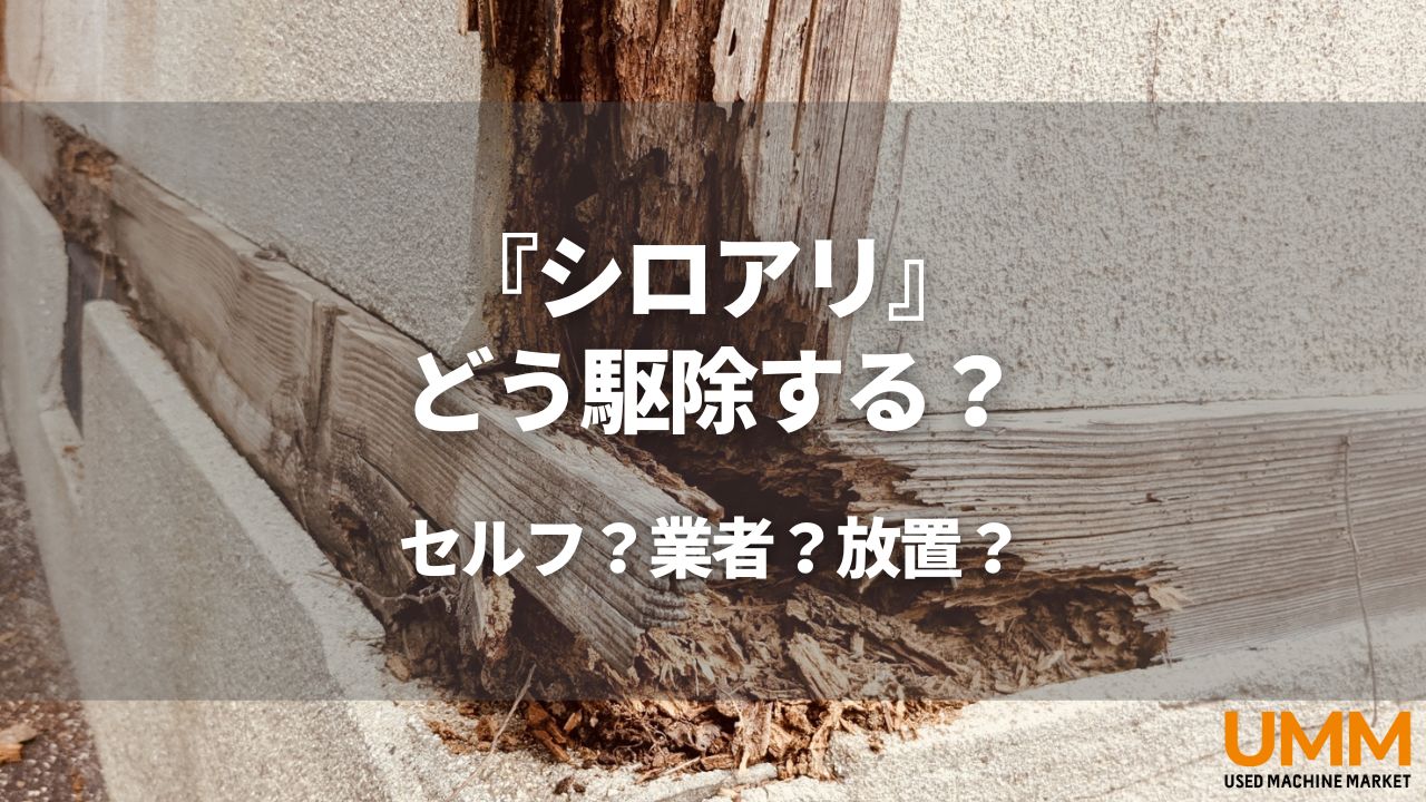 シロアリの駆除方法を紹介!自分で退治する方法や駆除業者の費用・予防策も解説! UMM 農業とつながる情報メディア シロアリの駆除方法を紹介!自分で退治する方法や駆除業者の費用・予防策も解説! UMM 農業とつながる情報メディア