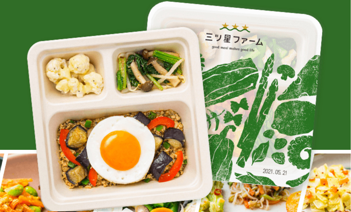 10食 三ツ星ファーム 冷凍食品 宅配弁当 宅食 お惣菜 高齢者 一人暮し mitsuboshi_set_img04.jpg