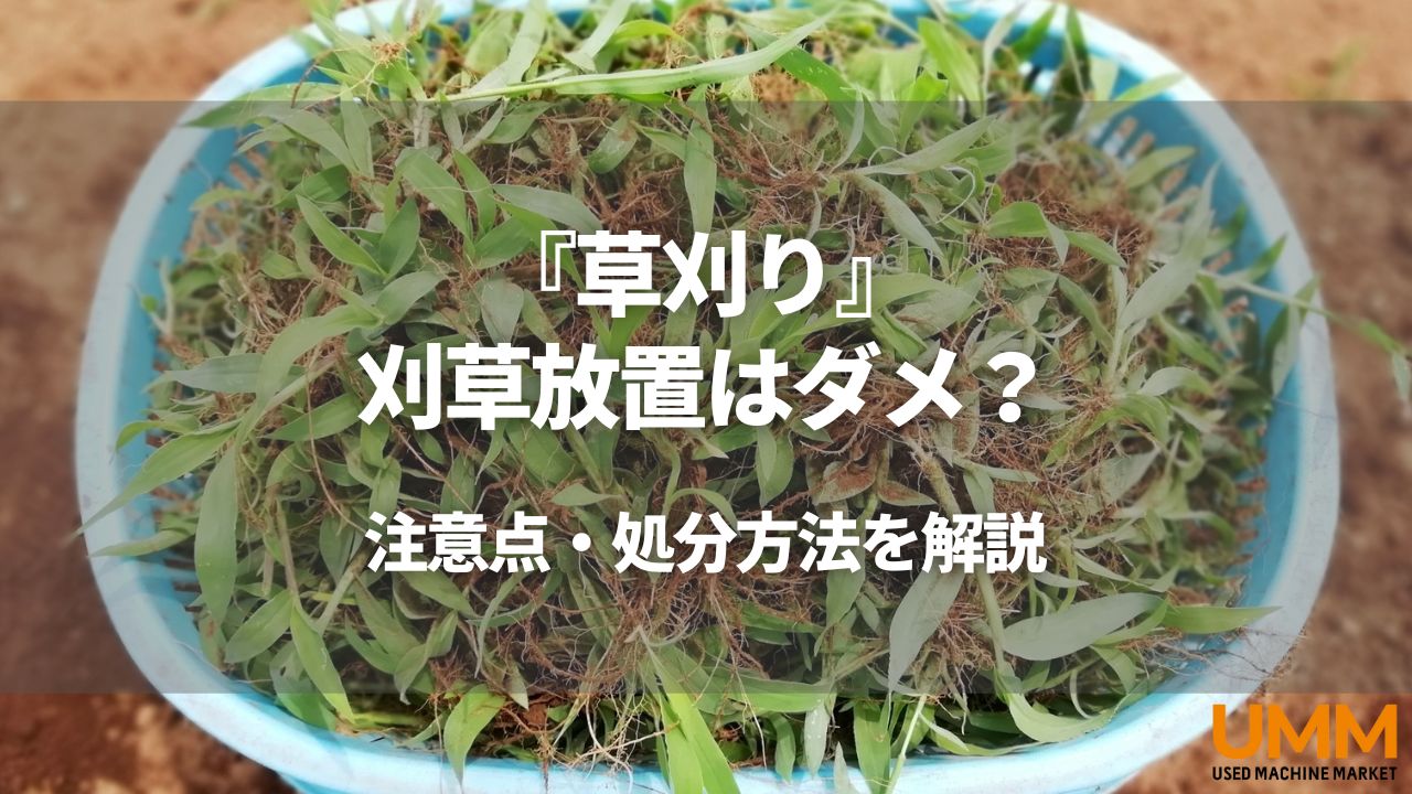 草刈りで刈った草はそのままで大丈夫？簡単な処分方法を紹介します 