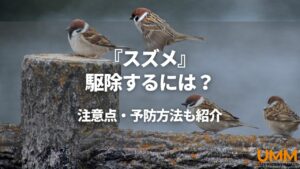 スズメの駆除・予防方法や注意点のまとめです