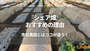 シェア畑が家庭菜園初心者におすすめな5つの理由！市民農園との違いも 
