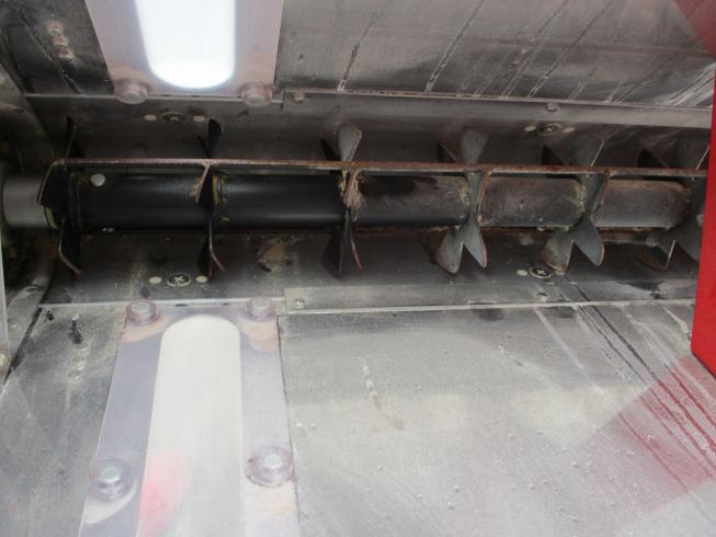 ライムソワー FT1606 写真４