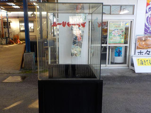 ショーケース 不明 写真３