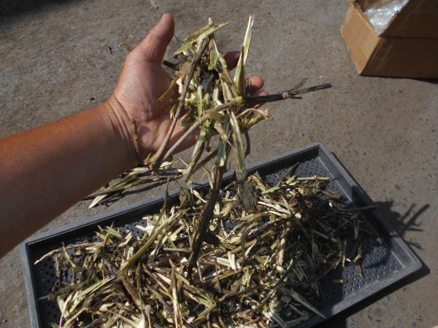 チッパー・カッター 新品エンジン式チッパー　MCE-65 写真８