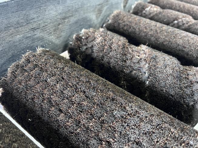 自動選果機＋自動ブラシ機 ASF-206HF-3＋SB206 写真９