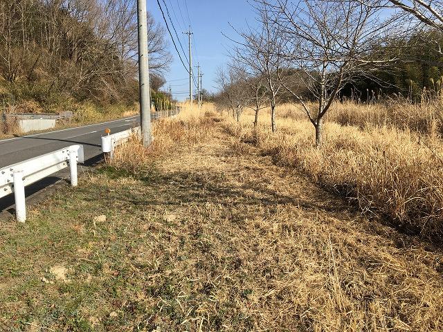 草刈機 新品 自走式草刈機 MHE-600D 写真10