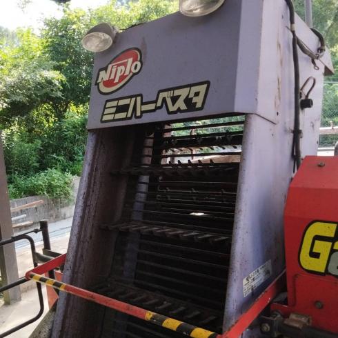 ポテカルゴ  GZA651 写真８