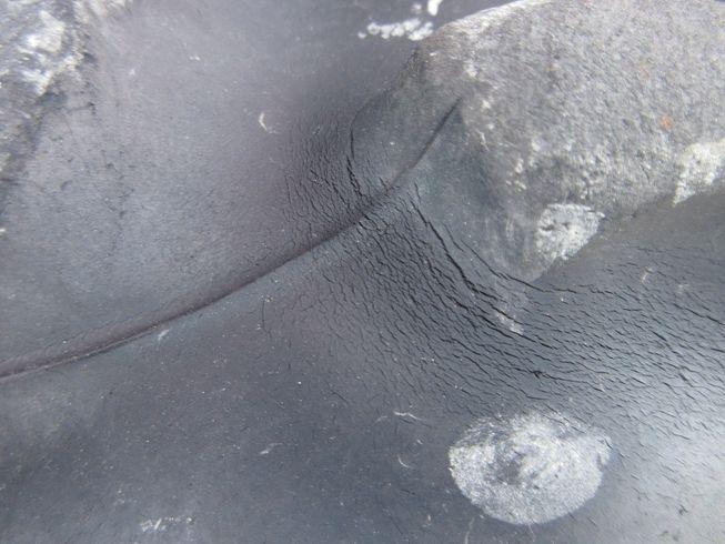 トラクター KT215 写真９