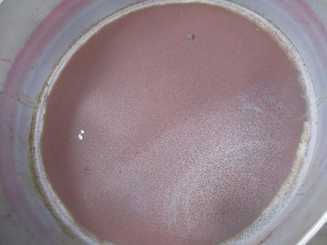 種子コーティングマシン KC-152 写真8