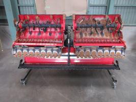 コバシ ハロー 写真