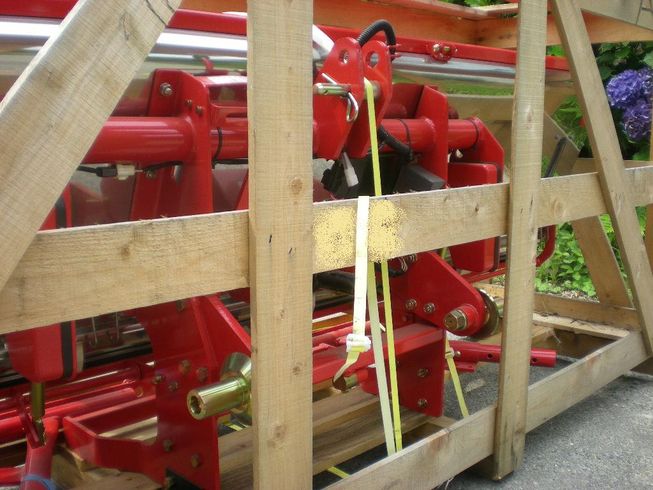 ライムソワー FT2206-0S 写真３