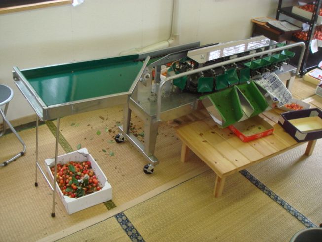 選別機 さくらんぼ大将？ 写真２