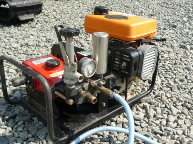 ロビン 動噴 写真