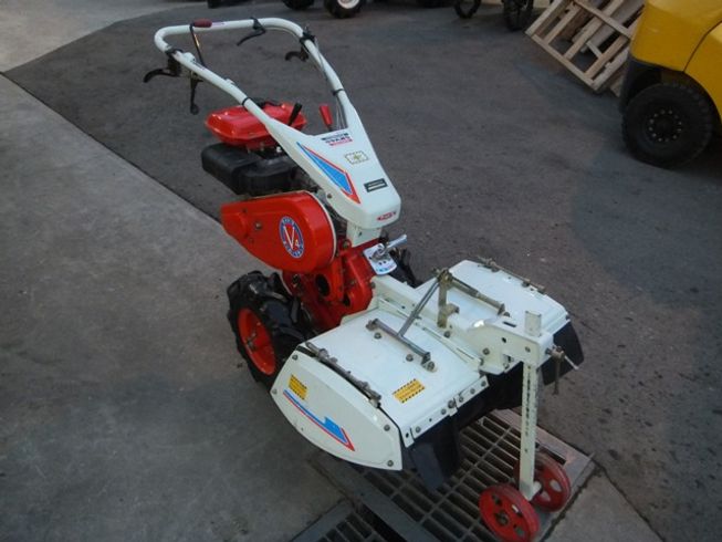 マメトラ リターンカルチ 写真