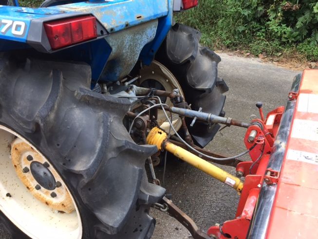 ライムソワー FT1606 写真４