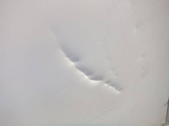 保冷庫 ECO14A 写真６