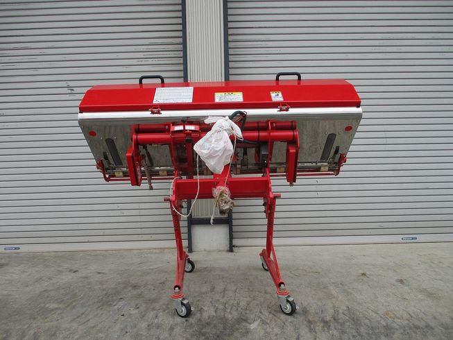 ライムソワー FT1606 写真５