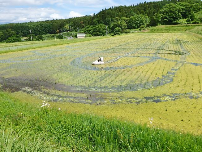 動力散布機 Field Slider JP-SAI 5L仕様 写真６