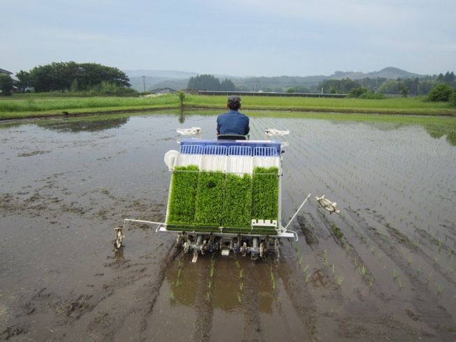 田植機 PQZ４-DULF 写真11