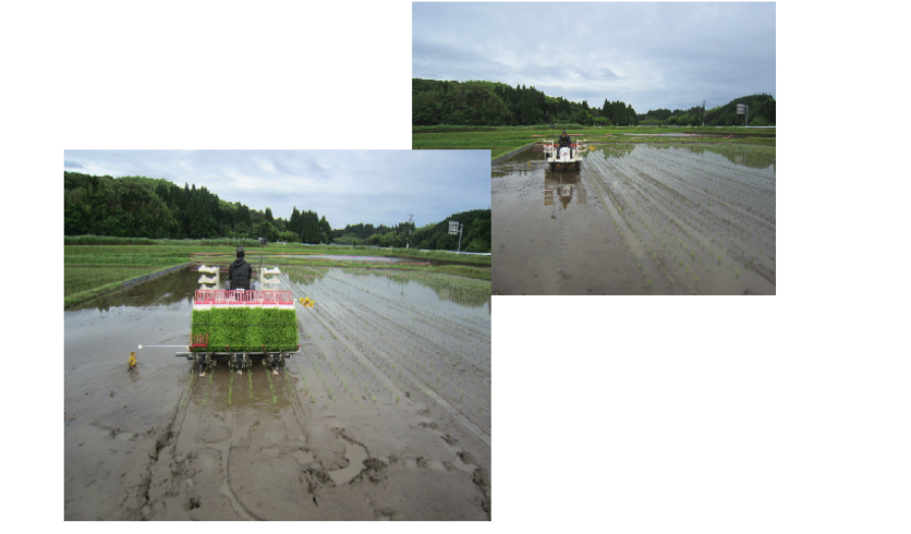田植機 RJ6 写真８