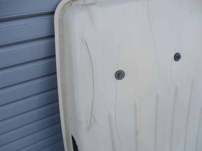 キャノピー 不明 写真11