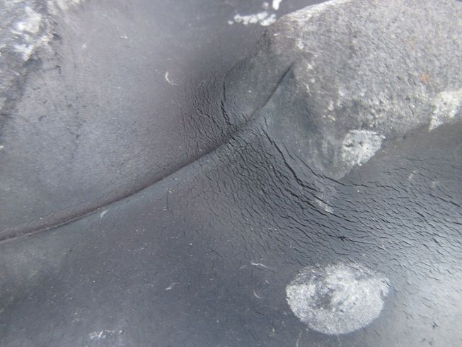 トラクター KT215 写真９