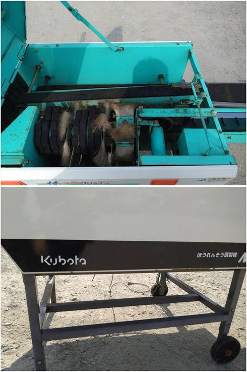 ほうれん草調整機 NC300 写真８