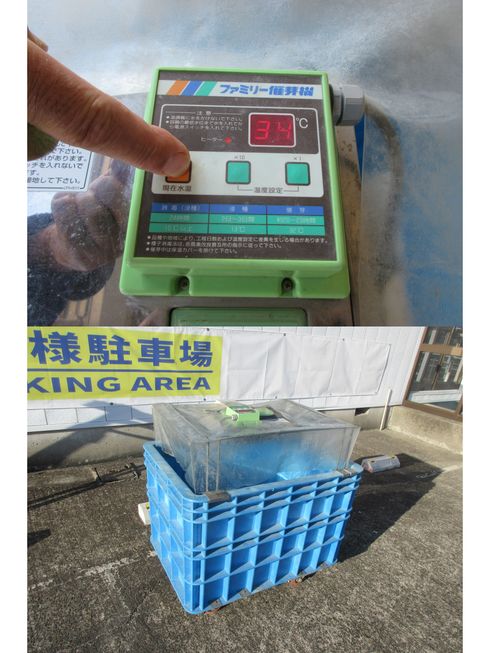 催芽機 FH-250ND　北新潟●★ 写真４