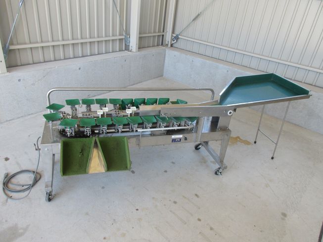横崎 さくらんぼ選別機 写真