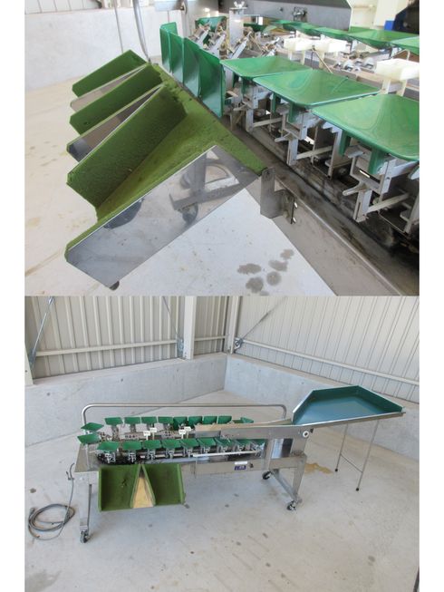 さくらんぼ選別機 C-8　北新潟●★ 写真４