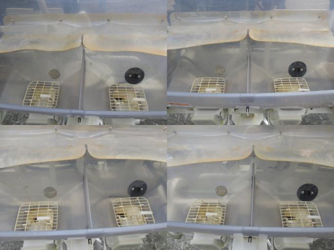 田植機（直播） EP8D-F　北新潟〇★ 写真７