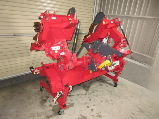 ササキ ハロー 写真