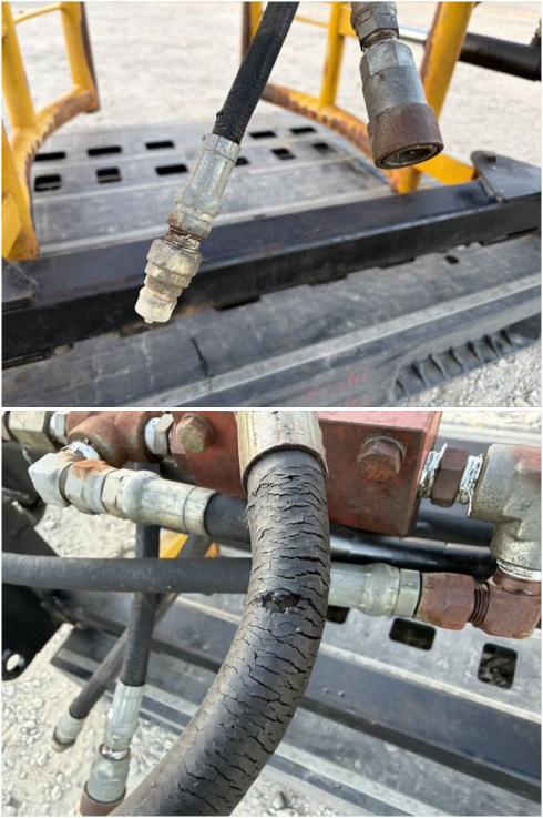 ベールグラブ 不明 写真６