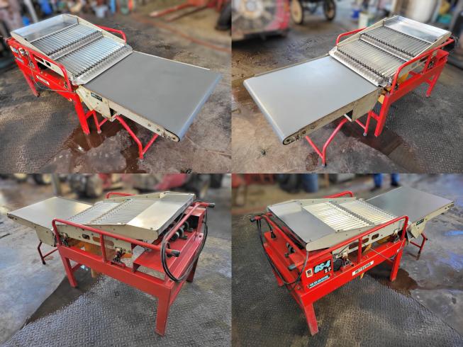 枝豆選別機 GS-4SP　選別コンベア付　岐阜 写真３