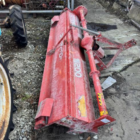 コバシ パディーハロー 写真