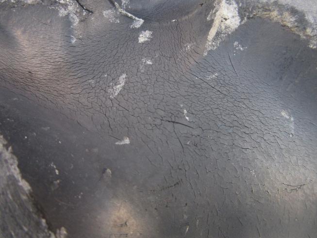 トラクター F-200 写真10