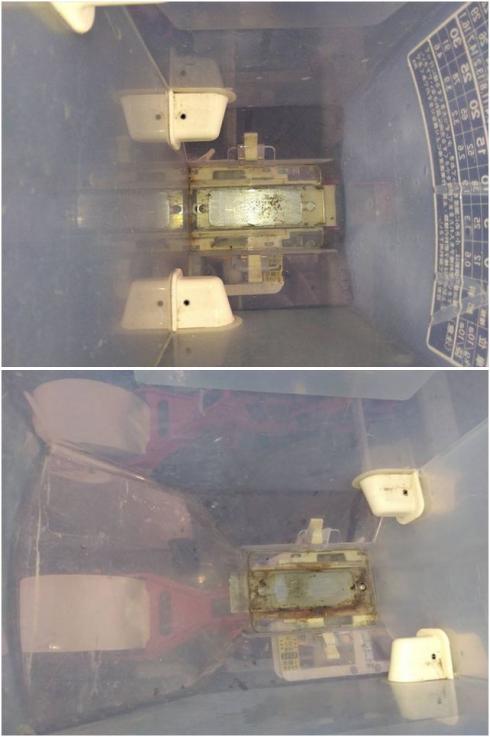 シーダー RX-1400 写真８