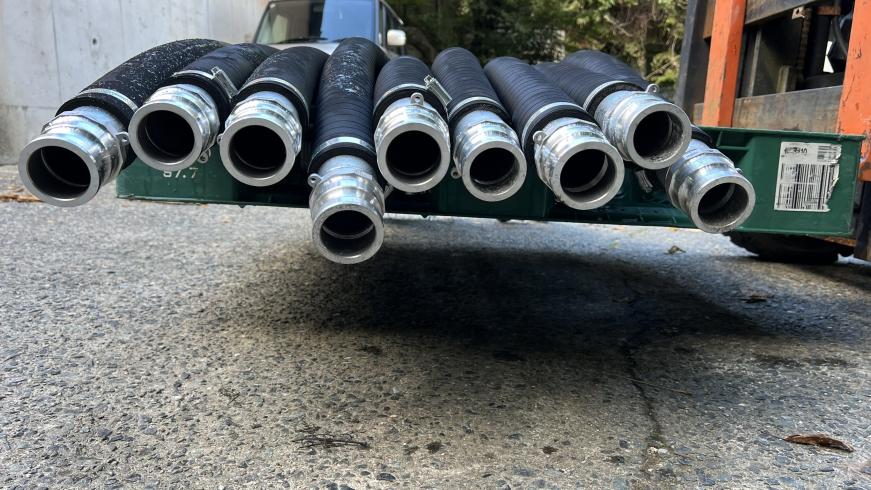 ウォーターホース 不明 写真７