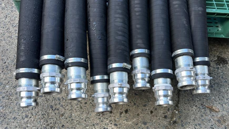 ウォーターホース 不明 写真５