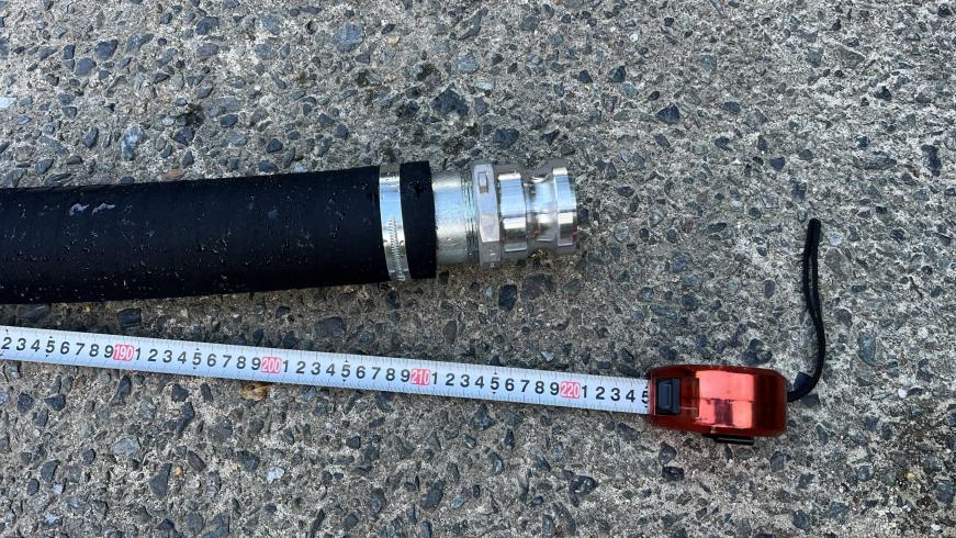 ウォーターホース 不明 写真６